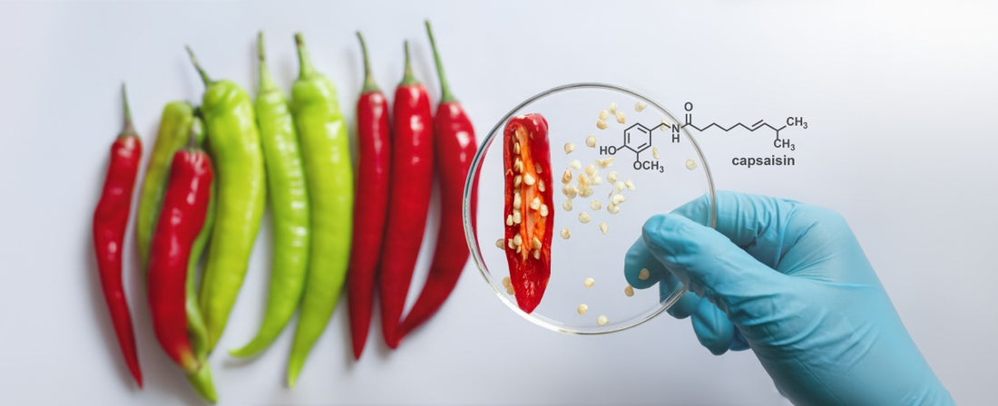 Understanding How Capsaicin for Peripheral Neuropathy Works