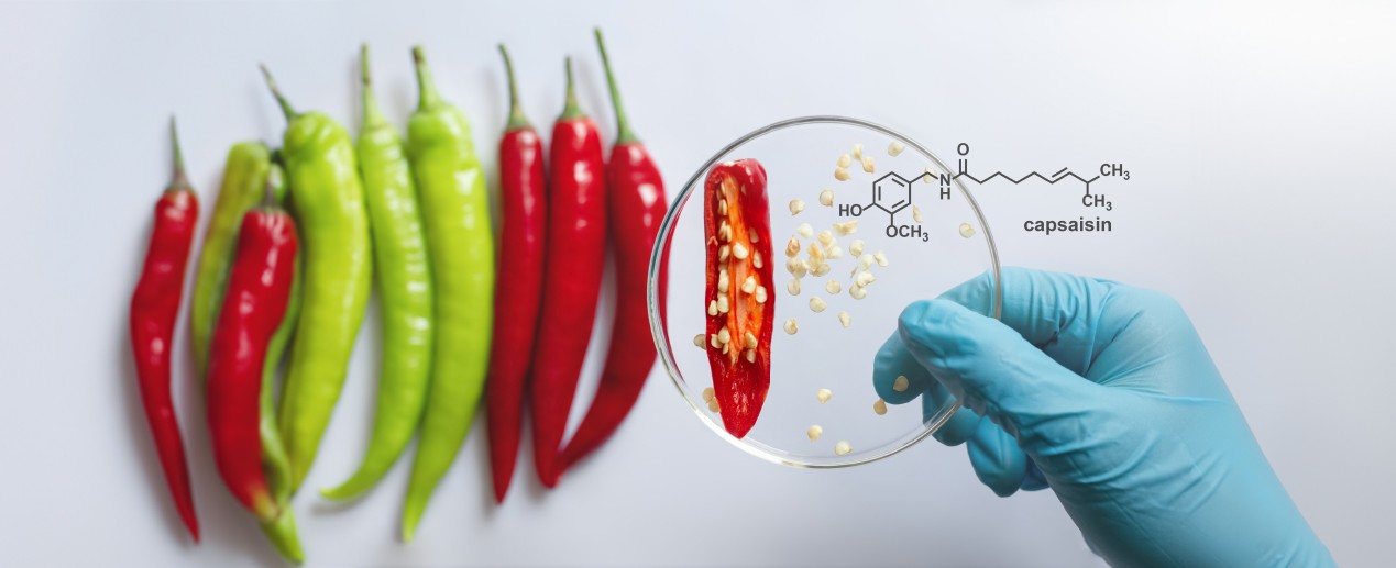 Understanding How Capsaicin for Peripheral Neuropathy Works