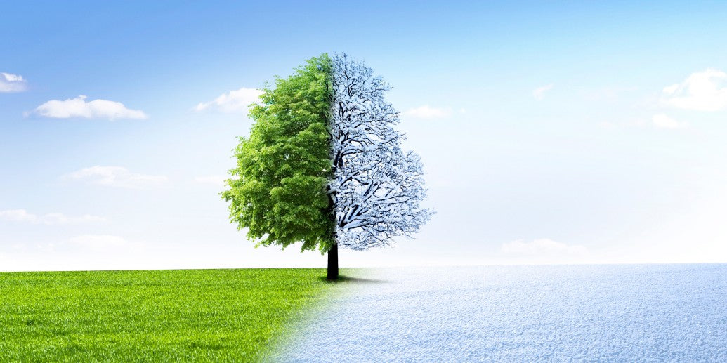 How Changing Seasons Affect Diabetes