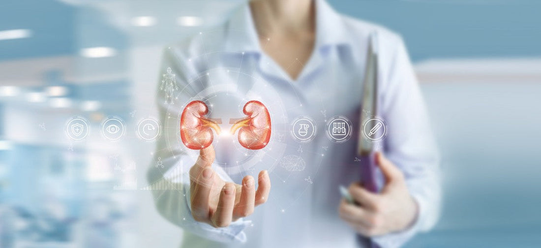 What You Need to Know About Diabetic Kidney Disease
