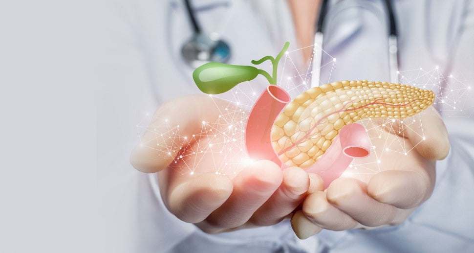 Understanding the Role of the Pancreas in Diabetes