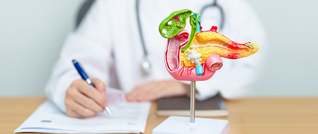 Your Pancreas and Diabetes: Understanding the Link